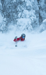 Powder skiing in the trees