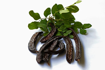 Carob, goat horn (ceratonia)