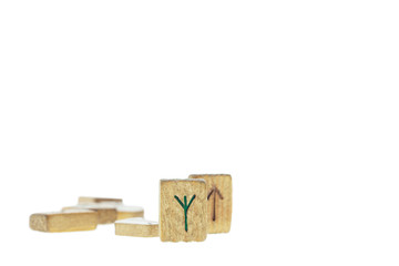 OGroup of od wooden runes isolated on a white background