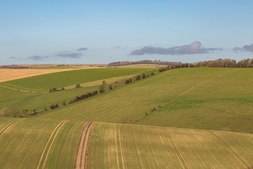 Fototapeta na wymiar A rolling South Downs landscape on a sunny winters day