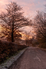 Fototapeta na wymiar Devon countryside sunrise