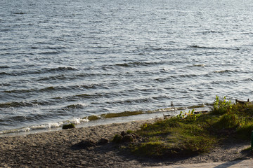River bank
