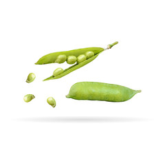 Green peas polygonal. Low poly fresh green peas. Elements for label design. Vector illustration. Ingredients in triangulation technique.