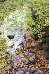 Obraz na płótnie Canvas 東京都千代田区日比谷の公園の風景
