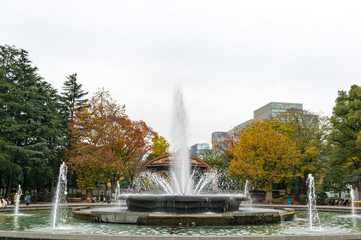 東京都千代田区日比谷の公園の噴水と紅葉