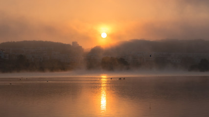 Phoenix see dortmund bei sonnenaufgang im nebel