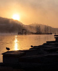 bootssteg im nebel bei sonnenaufgang phoenix see dortmund
