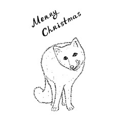 Arctic polar fox with Merry Christmas letters. Black outline on white background. Picture can be used in greeting cards, posters, flyers, banners, logo, further design etc. Vector illustration. EPS10
