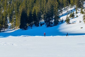 Fototapeta na wymiar Skifahrer im Gebirge