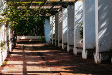Public park in Barcelona, Spain. Beautiful tunnel walkway in park. Stone archway passage in the garden, with climbing green plants. Natural ligh, sunny weather, hard shadows. Travel concept