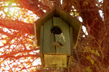small bird house