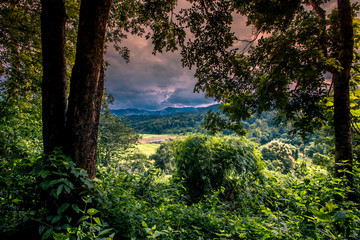 Natural blurred background of high angle views that can see the surrounding atmosphere (rice fields, mountains, trees, coffee trees).
