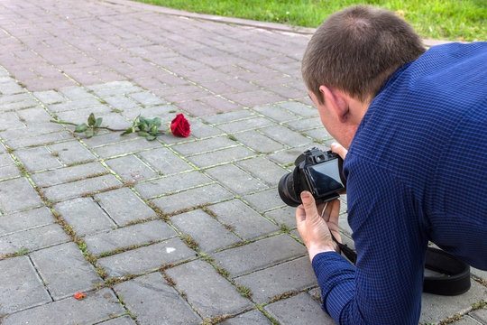 Photographer takes pictures of a red rose lying on a sidewalk