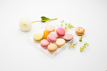 Macaroons on a tray on a white background decorated with fresh flower