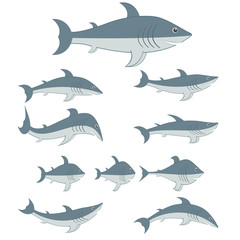Sharks set of different shapes and types. Cartoon characters. Vector illustrations.