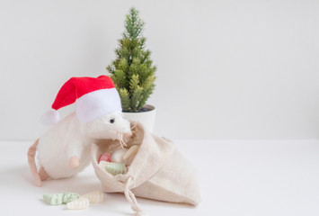 white toy plush rat in red Santa hat near Christmas tree with bag  of sweets on white background