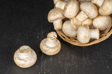 Lot of whole fresh white champignon in round rattan bowl on grey stone