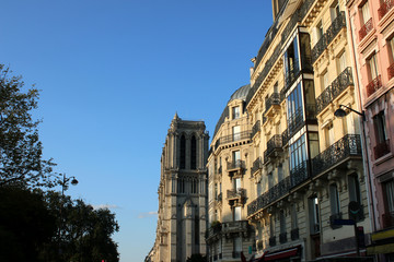 Fototapeta na wymiar Paris - Notre-Dame