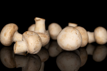 Lot of whole fresh white champignon isolated on black glass