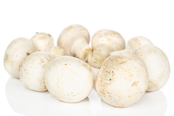 Lot of whole fresh white champignon ring isolated on white background