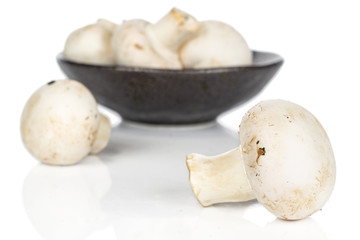Lot of whole fresh white champignon in glazed bowl isolated on white background