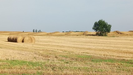 Champ du Lot et Garonne