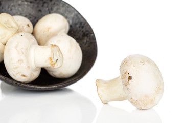 Lot of whole fresh white champignon in glazed bowl isolated on white background