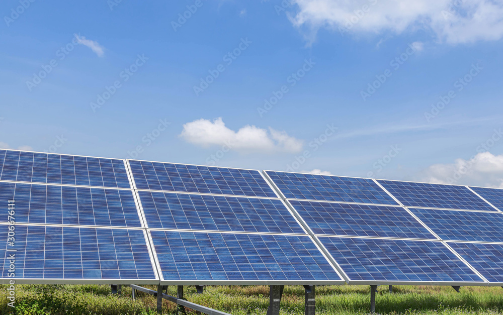 Wall mural close up rows array of solar panels or solar cells or photovoltaics in solar power station is power 