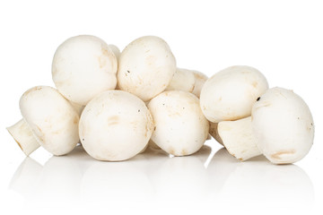Lot of whole fresh white champignon isolated on white background
