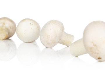 Group of four whole fresh white champignon isolated on white background