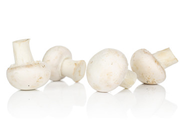 Group of four whole fresh white champignon isolated on white background