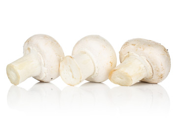 Group of three whole fresh white champignon isolated on white background