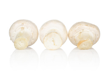 Group of three whole fresh white champignon isolated on white background
