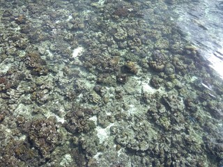 stones in water