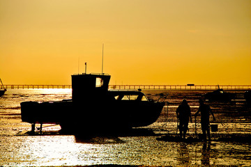 Fototapeta premium Sunset over the boats in Thorpe Bay, Southend on Sea, Essex, England, United Kingdom