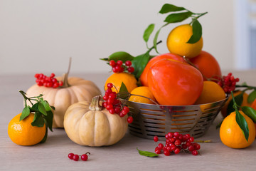 Food. Tangerines, viburnum, pumpkin, persimmon in table