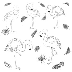 Flamingo silhouettes set isolated on white - vector illustration