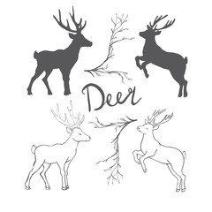 graphic stylization deer head for your design. isolated objects