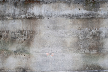 mildewed wall background, grunge texture of dirty cement wall