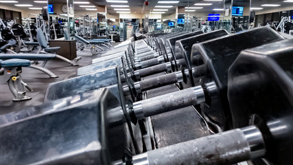 Dumbell Rack in a Fitness Gym