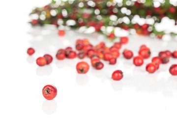 Lot of whole bright wild red rowanberry front focus isolated on white background