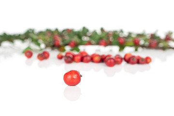 Lot of whole wild red rowanberry one in focus isolated on white background