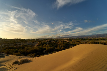wüste maspalomas