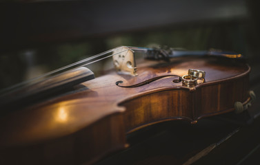 Wedding rings on a violin © Jnis