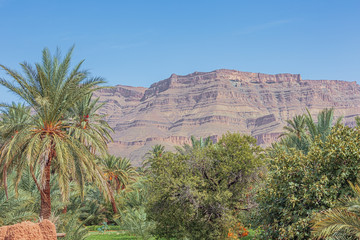 Fototapeta na wymiar View of the Anti-Atlas mountains with the palm trees of the Oulad Othmane oasis on road 9 between Agdz and Zagora
