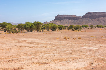 Desert landscape near Tazzarine on road 12 between Zagora and Erfoud