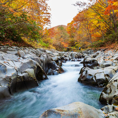 View of Nakatsugawa ravine at Urabandai in autumn season, Fukushima, Japan
