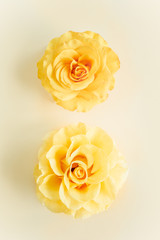 Yellow rose flower on beige background. Flat lay, top view