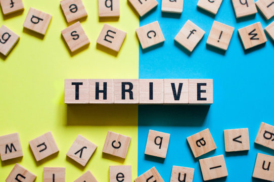 Thrive word concept on cubes