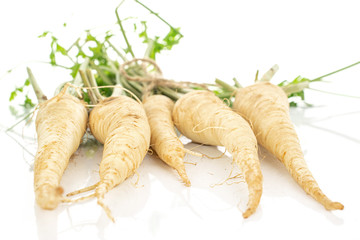 Group of five whole hamburg white parsley root with jute fabric isolated on white background